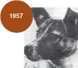 1957 - Hündchen Laika in Sputnik