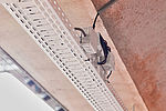 morepic-7