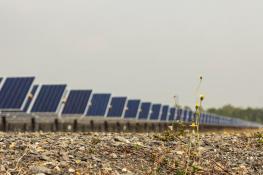 Harte Böden und Felsen