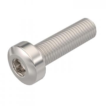 Vite a testa piatta per lamiera frangivento